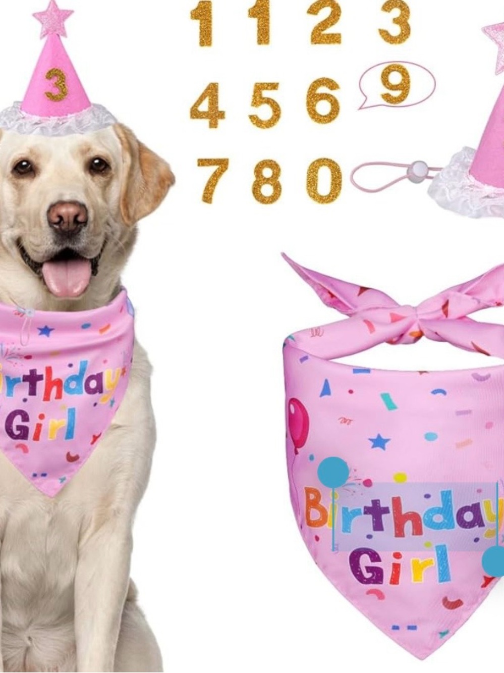 Birthday Girl Pink Dog Bandana and Party Hat Set